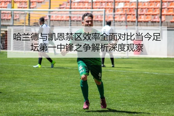 哈兰德与凯恩禁区效率全面对比当今足坛第一中锋之争解析深度观察